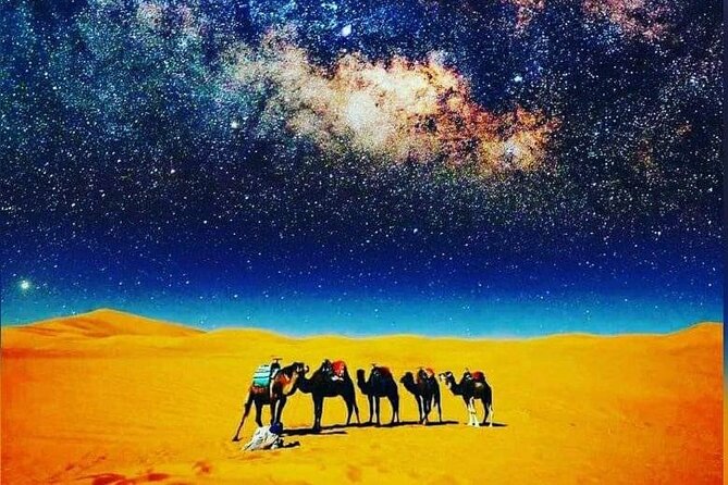 Merzouga Camel Trekking 1 Night Experience - Sunrise dunes and Moroccan breakfast on Day 2