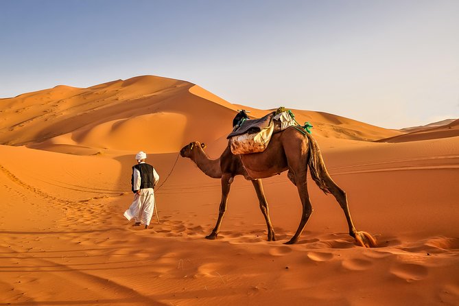 Merzouga Camel Trekking & Overnight Desert Camp - From Merzouga to the dunes: how the day is paced