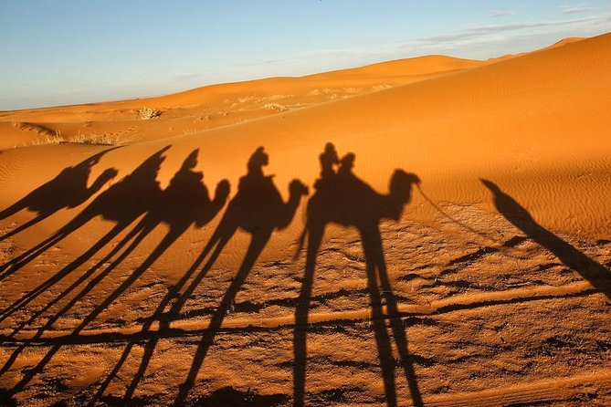 Merzouga Camel Trekking & Overnight Desert Camp - Sleeping under the stars: what you’re really paying for
