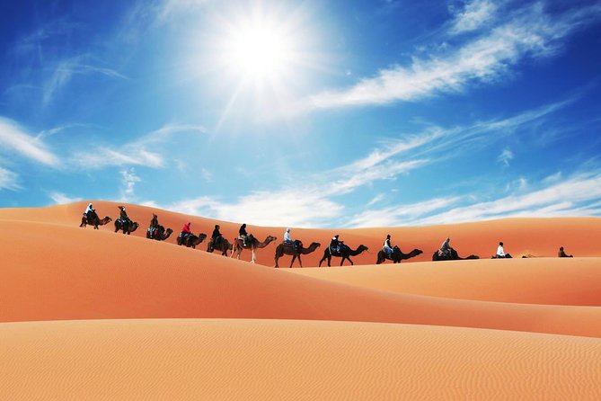 Merzouga Camel Trekking & Overnight Desert Camp - Practical tips so the day feels smooth