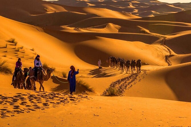 MERZOUGA DESERT TREK - 3 DAYS From Marrakech - Dades and Todgha: Palm Groves, the 1000 Kasbahs Road, and a Real Canyon Walk
