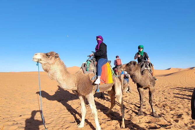 MERZOUGA DESERT TREK - 3 DAYS From Marrakech - Logistics You’ll Actually Notice: Time, Group Size, and Comfort Level