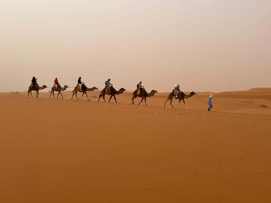 Merzouga: Overnight Camel Trek with Sandboarding - Sunrise and the Return to Ksar Tanamouste