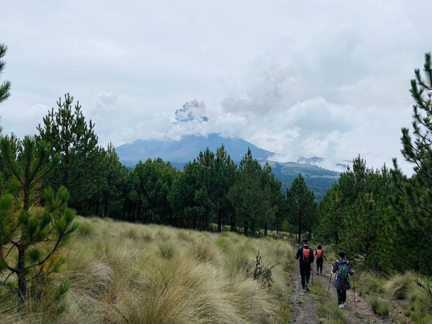Mexico City: Guided Volcano Trek with Lunch - Amalacaxco Ravine: native flora and fauna breaks up the altitude grind
