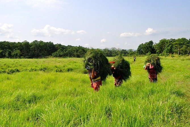 Millennium Homestay Trek - Khairenitar Bazar to Bankewa: First Homestay Landing