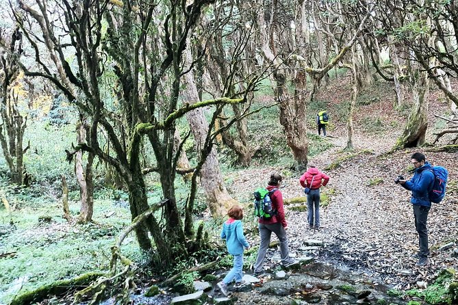 Mohare Danda Trek - Ramche to Nagi Village: nature plus Magar culture without the grind
