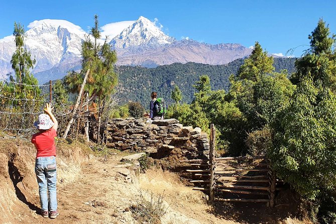 Mohare Danda Trek - Sunrise day at 3,313m: the best “payoff” moment