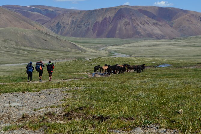 Mongolia Trekking Tour in the Altai Tavan Bogd National Park - Day-by-day trekking rhythm: how the plan keeps you moving (and not wrecked)