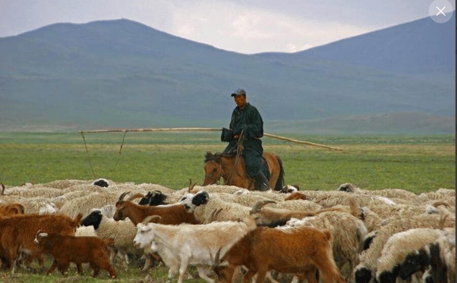 MONGOLIAN NOMADS: 2-Day Horse Trekking & Cow Milking Tour - The Ger Night: Warm Sleep, Simple Comfort