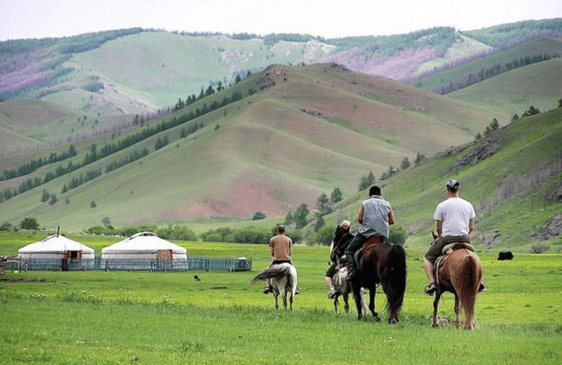 MONGOLIAN NOMADS: 2-Day Horse Trekking & Cow Milking Tour - The Herding on Horseback: More Than a Ride
