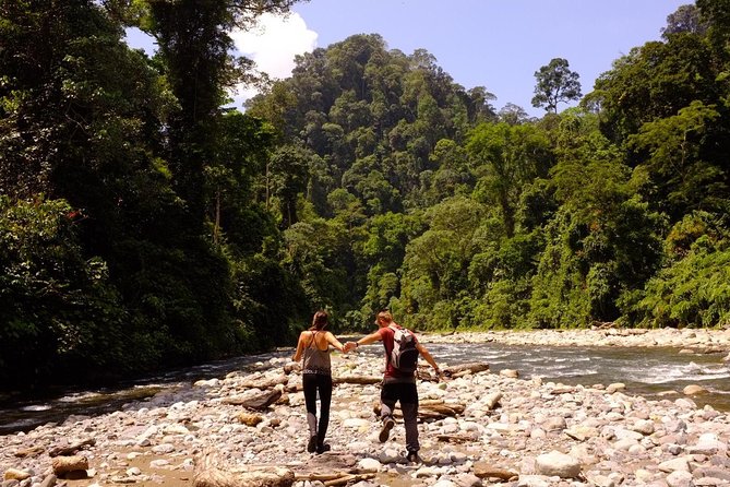 Monkey Business 3 days - 2 nights Jungle trekking (including rafting) - Day 3 river time and the final animal hunt