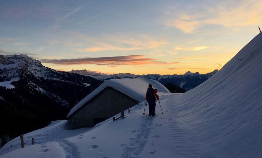 Montreux: Snowshoe Trek with Fondue and Wine - Snowshoes, forests, and those Lake Geneva ridge views