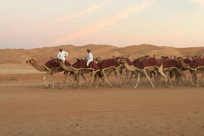 Morning Camel Trekking Over the Red Sand Dunes - Included Comforts That Save You Money and Stress