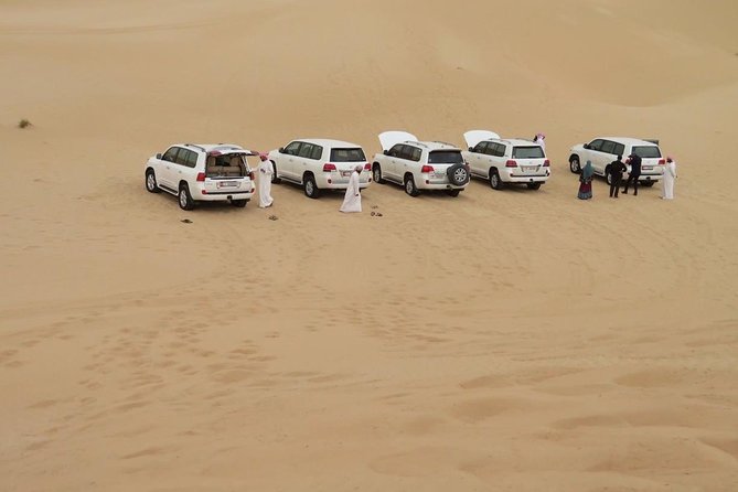 Morning Desert Safari With Camel Trekking - Dune bashing: the thrill part, without the full-day commitment