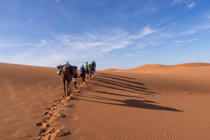 Morocco desert trek (8 days) - Erg Chigaga: dunes, a small oasis, and the camp near Sidi Naji