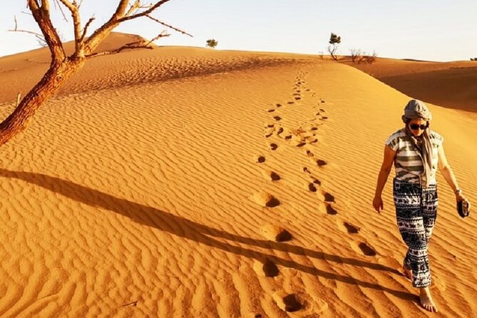 Morocco desert trek dromedary Mhamid dunes - Hammada, Tamarisks, and the Big Dunes You Came For