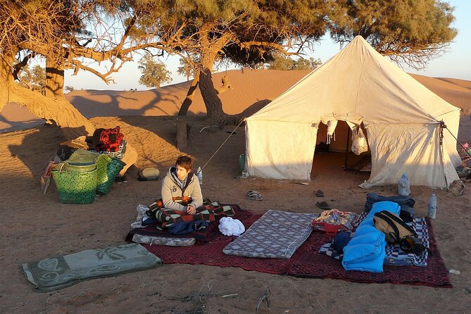 Morocco desert trek dromedary Mhamid dunes - Price and Logistics: Why $112 Can Be a Good Deal
