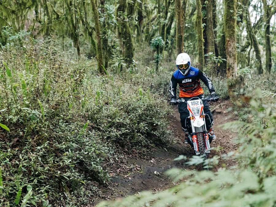 Mount Batur: Sunrise Dirt Bike Trek with Trained Riders - Who this tour suits best (and who should skip it)