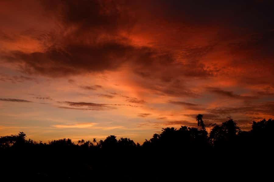 Mount Batur Sunrise Trek & Hot Springs Tour - Mt. Batur Lounge: showers and hot drinks you’ll be glad you packed for