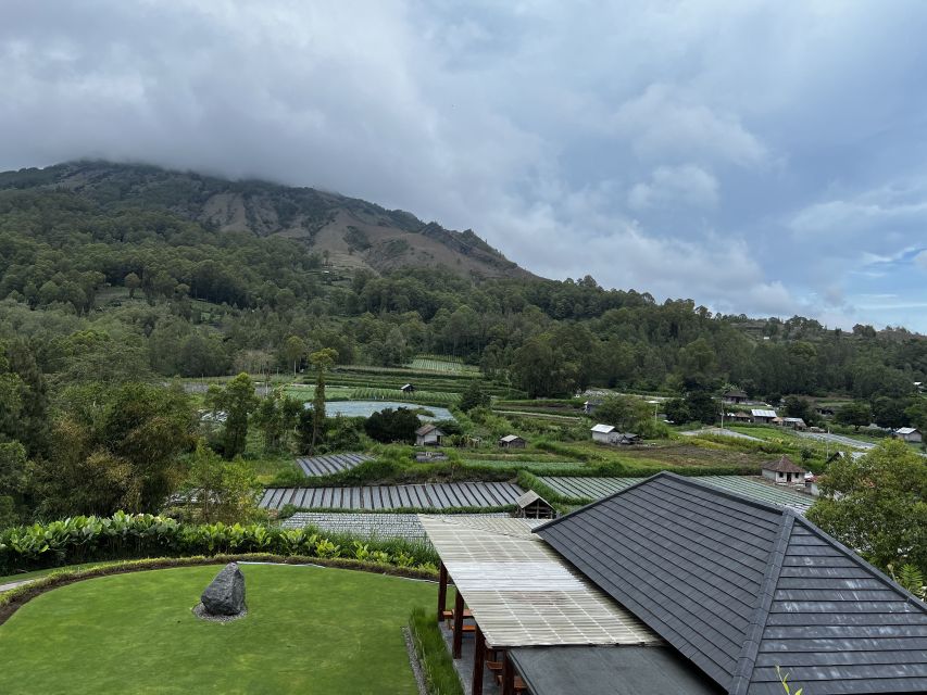 Mount Batur Sunrise Trek & Hot Springs Tour - Coffee plantation stop: a quick taste, not a full detour