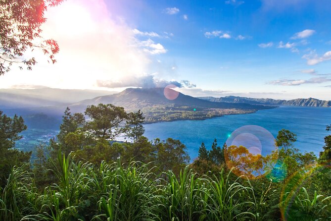 Mount Batur Sunrise Trekking Private - Coffee and tea plantation time: a stop that fits the Bali story