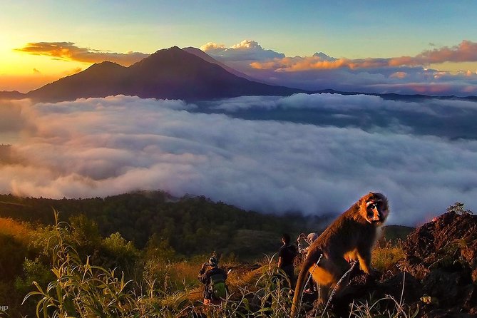 Mount Batur Sunrise Trekking With Breakfas - The Volcano Trio View: Mt. Agung, Mt. Abang, and Lombok’s Mt. Rinjani