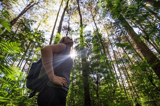 Mount Batur Sunrise Trekking With Breakfas - Optional Coffee Plantation Stop and Luwak Coffee Reality Check