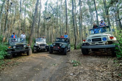 Mount Batur Trekking by 4wd Jeep - The summit walk and steam-cooked breakfast at sunrise