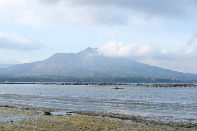 Mount Batur Trekking Sunrise Private Tour - Satria Agrowisata Coffee Plantation Stop Around 11:30am