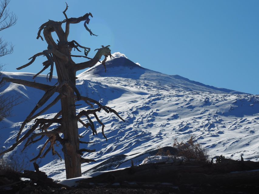 Mount Etna: Trek to the Craters of The 2002 Eruption - Key highlights that make this Etna trek worth it