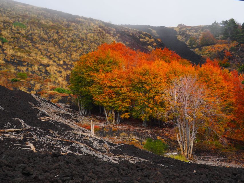 Mount Etna: Trek to the Craters of The 2002 Eruption - Crater-and-coast views: Bay of Naxos and Calabria from above