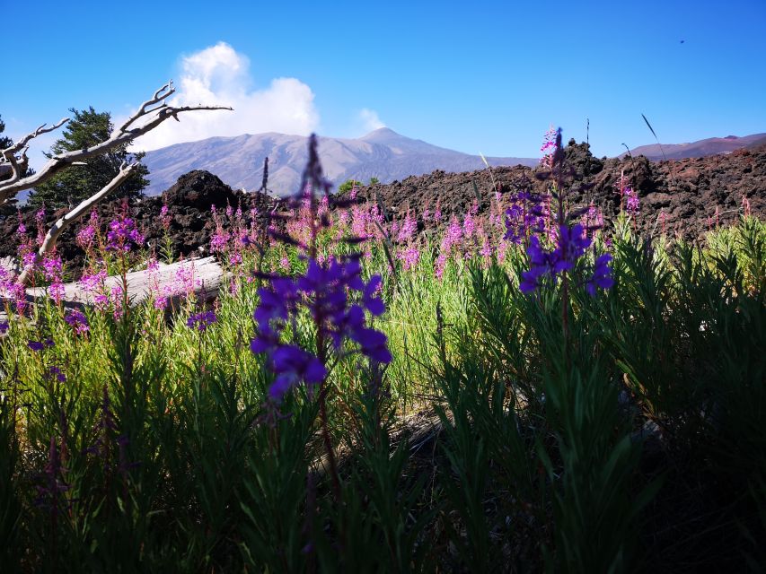 Mount Etna: Trek to the Craters of The 2002 Eruption - What to bring for a 2.5-hour Etna hike (and what to skip)