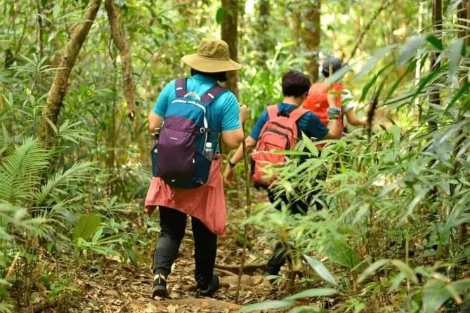 Mount Fansipan 2 Days Trek – Roof of Indochina - Day 1: Sapa to Tram Ton Pass and the cardamom zone