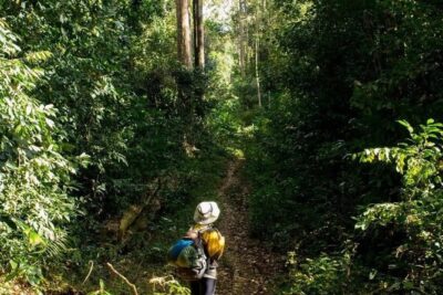 Mount Fansipan 2 Days Trek – Roof of Indochina - Getting to Sapa and the start point without stress