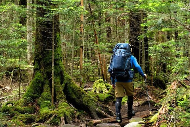 Mount Fansipan 2 Days Trek – Roof of Indochina - Summit expectations: aim for the experience, not just the view