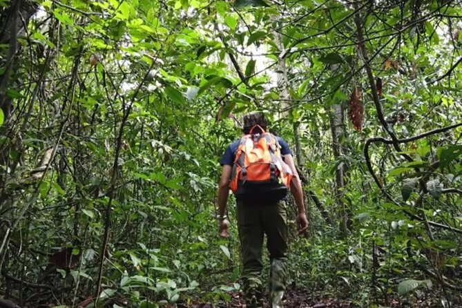 Mount Fansipan 2 Days Trek – Roof of Indochina - Guides and porter support: how this trek stays doable