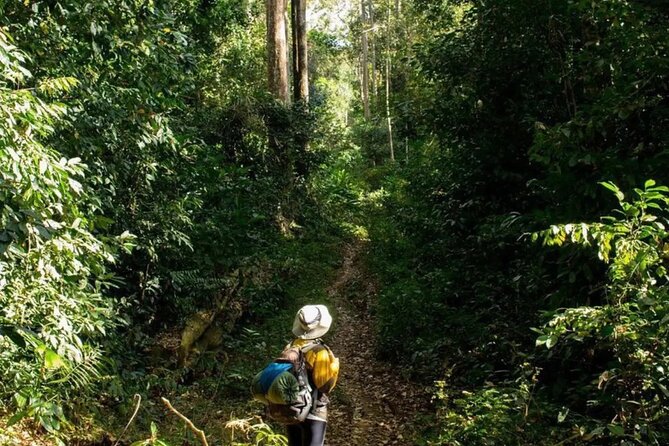 Mount Fansipan 2 Days Trek – Roof of Indochina - Getting to Sapa and the start point without stress