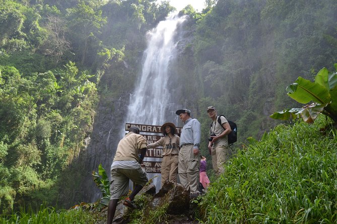 Mount Kilimanjaro day trip trekking - Key moments that make this day trip worth it