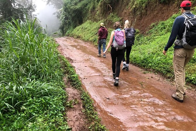 Mount Kilimanjaro day trip trekking - Materuni, Coffee, Hot Springs: the real flow of the day