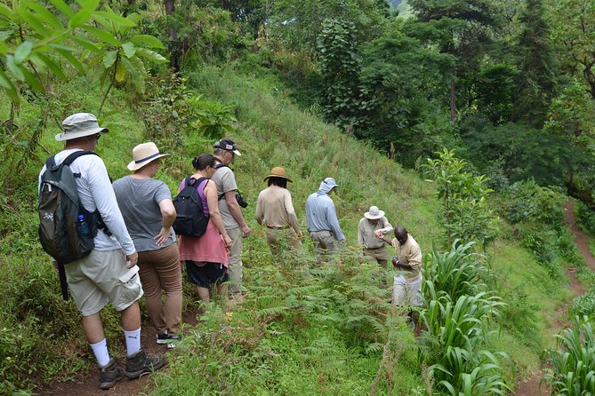 Mount Kilimanjaro day trip trekking - Included details that actually matter for value