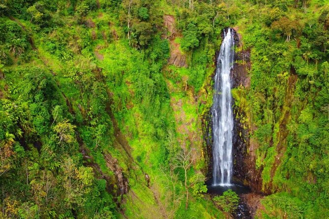 Mount Kilimanjaro day trip trekking - Who this Materuni + coffee + hot springs trip is best for