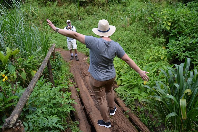 Mount Kilimanjaro day trip trekking - How to prepare so the day feels easy (not stressful)