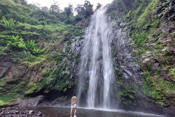 Mount Kilimanjaro day trip trekking - The Materuni Waterfalls hike: short, scenic, and not totally easy