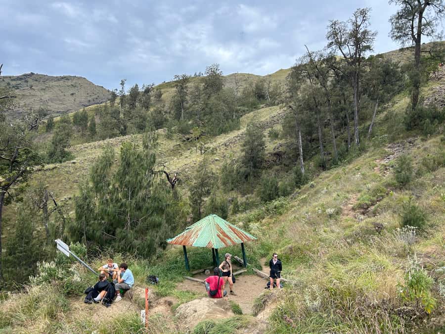 Mount Rinjani: 2D-1N Trekking Summit Sunrise Point Join Tour - Should you book the Mount Rinjani 2D-1N Sunrise trek?