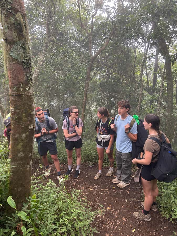 Mount Rinjani: 2D-1N Trekking Summit Sunrise Point Join Tour - Service quality: guides, communication, and food that performs