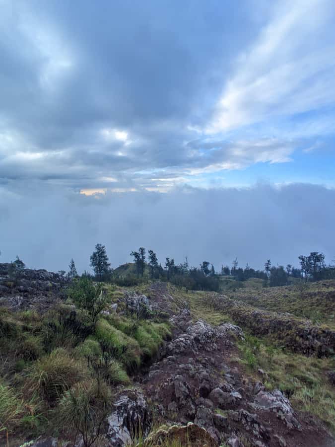 Mount Rinjani: 2D/1N Trekking To Sembalun Or Senaru Views - From Sembalun (1,156 m) to crater rim camp (2,639 m): Day 1 in plain terms