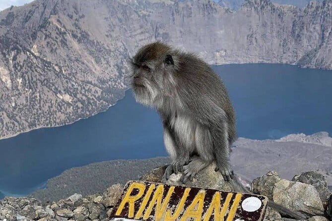 Mount Rinjani 2D 1N trekking to summit - Price and value: how $160 stacks up with fees