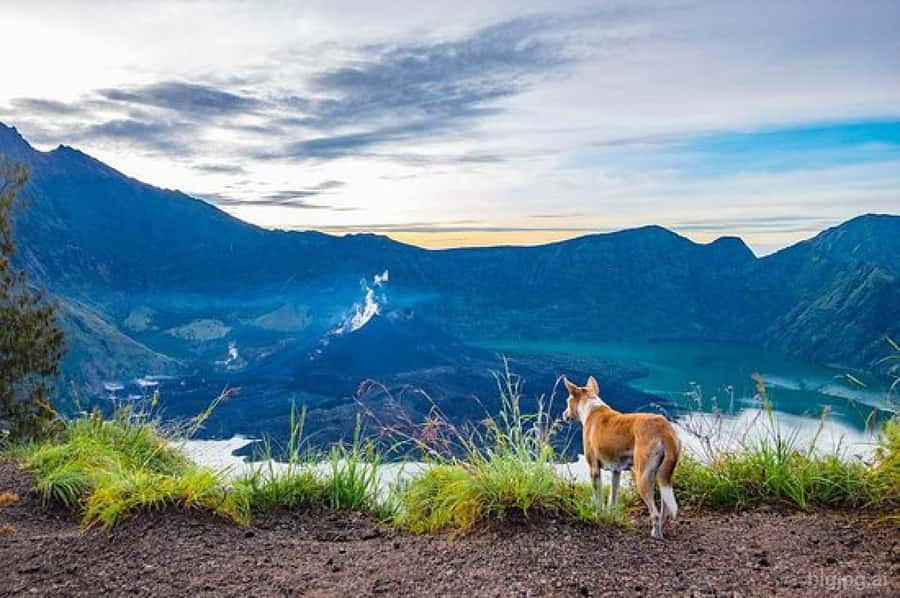mount rinjani One day trek - At the Rim and the Sengkareang Viewpoint: What Makes It Worth the Effort