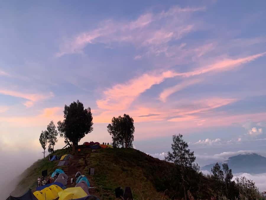 Mount Rinjani Trekking 2D/1N Summit Sunrise & Sunset Views - Who should book this trek, and who should not