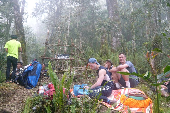 Mount Sangkareang Trekking 2D1N 3200msl - Tetebatu - National Park campsite night: where your comfort is built in